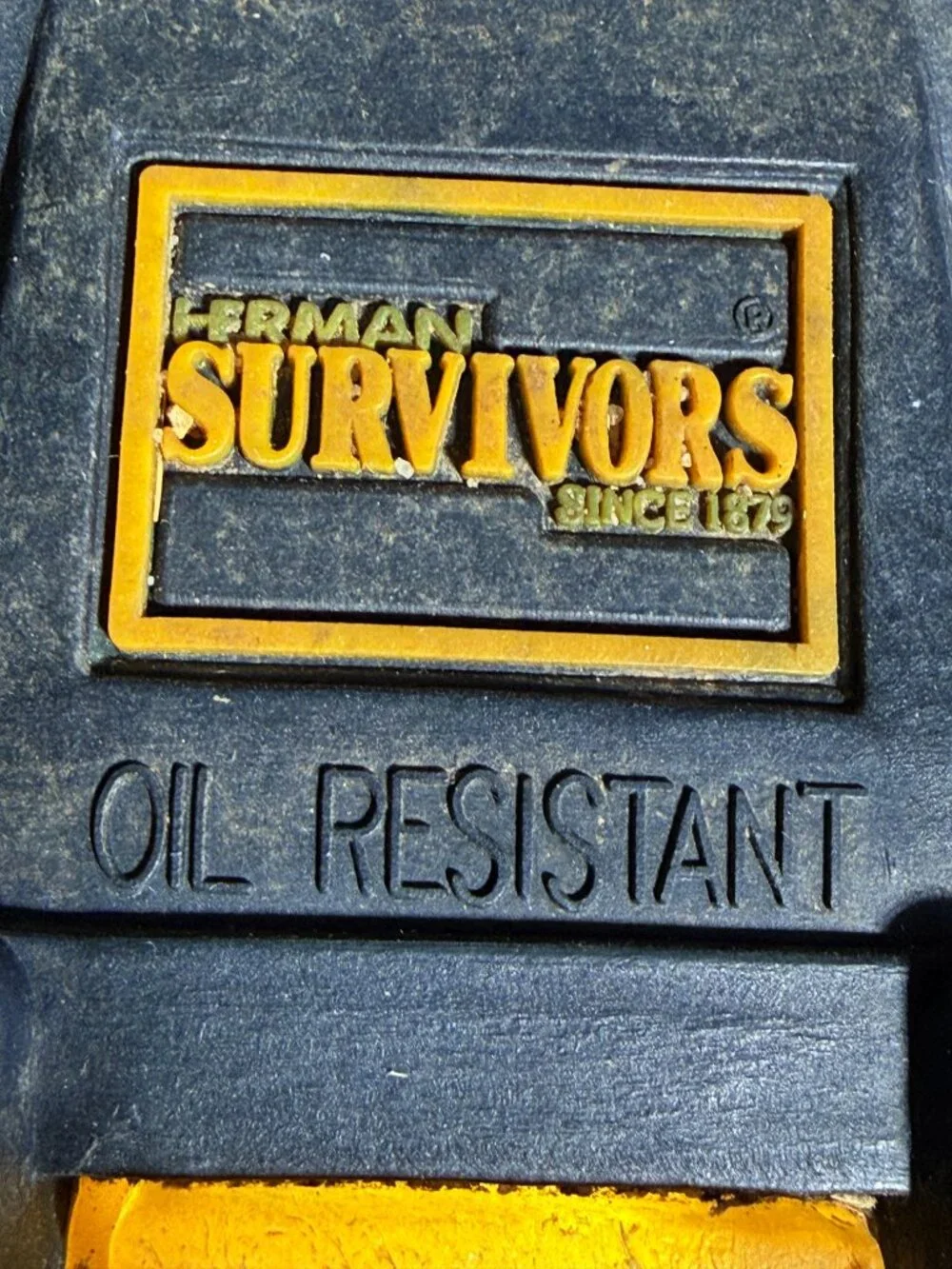 Herman Survivor herman survivor